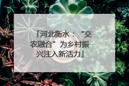 河北衡水：“交农融合”为乡村振兴注入新活力