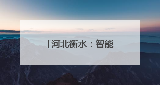 河北衡水：智能收储 颗粒归仓
