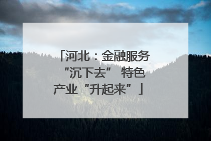 河北：金融服务“沉下去” 特色产业“升起来”