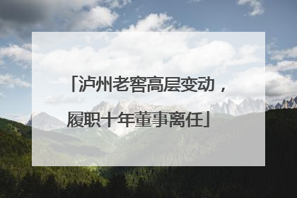 泸州老窖高层变动，履职十年董事离任