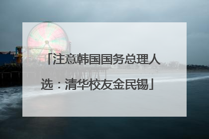 注意韩国国务总理人选：清华校友金民锡
