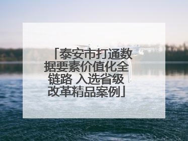 泰安市打通数据要素价值化全链路 入选省级改革精品案例