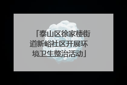 泰山区徐家楼街道新峪社区开展环境卫生整治活动