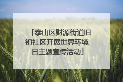 泰山区财源街道旧镇社区开展世界环境日主题宣传活动