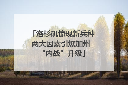 洛杉矶惊现新兵种 两大因素引爆加州“内战”升级