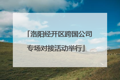 洛阳经开区跨国公司专场对接活动举行