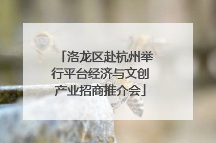 洛龙区赴杭州举行平台经济与文创产业招商推介会