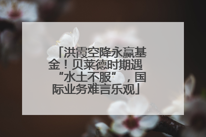 洪霞空降永赢基金！贝莱德时期遇“水土不服”，国际业务难言乐观