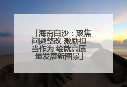 海南白沙：聚焦问题整改 激励担当作为 绘就高质量发展新图景