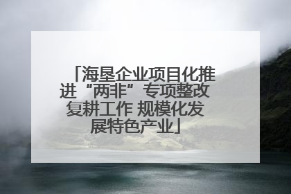海垦企业项目化推进“两非”专项整改复耕工作 规模化发展特色产业