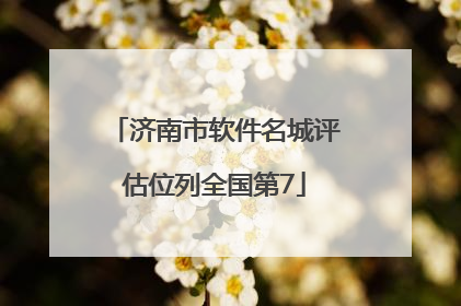 济南市软件名城评估位列全国第7