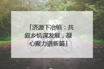 济源下冶镇：共叙乡情谋发展，凝心聚力谱新篇