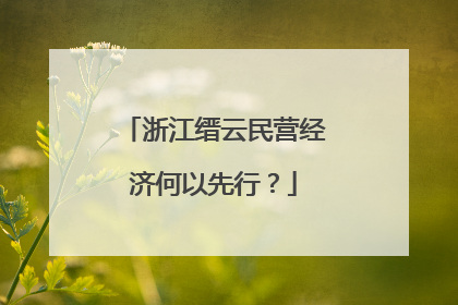 浙江缙云民营经济何以先行？