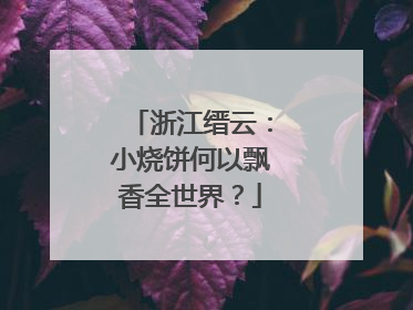 浙江缙云：小烧饼何以飘香全世界？