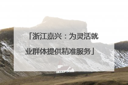 浙江嘉兴：为灵活就业群体提供精准服务
