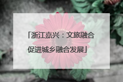 浙江嘉兴：文旅融合促进城乡融合发展