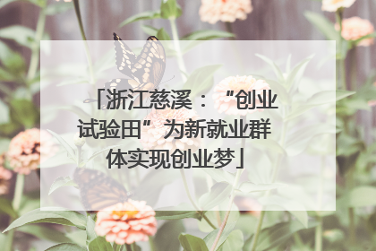 浙江慈溪：“创业试验田”为新就业群体实现创业梦