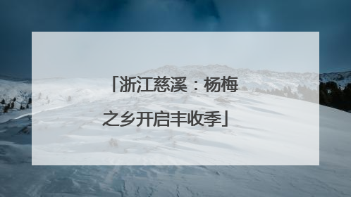浙江慈溪：杨梅之乡开启丰收季