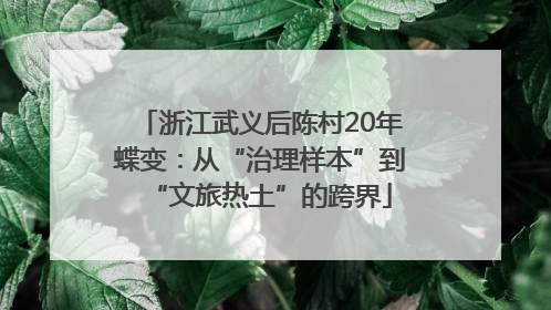 浙江武义后陈村20年蝶变：从“治理样本”到“文旅热土”的跨界