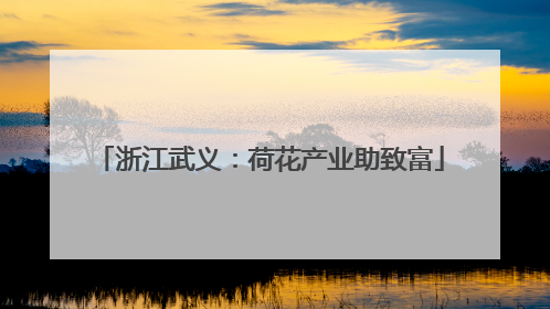 浙江武义：荷花产业助致富