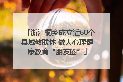 浙江桐乡成立近60个县域教联体 做大心理健康教育“朋友圈”