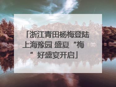 浙江青田杨梅登陆上海豫园 盛夏“梅”好盛宴开启