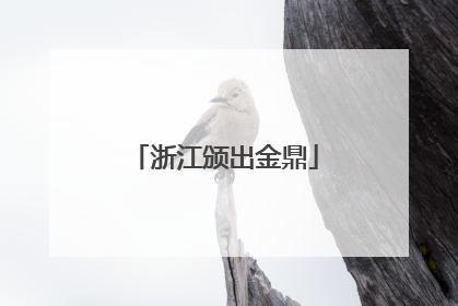 浙江颁出金鼎