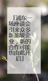 浦东一场座谈会引来众多新加坡企业，新的合作可能也由此开启