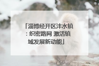 淄博经开区沣水镇：织密路网 激活镇域发展新动能