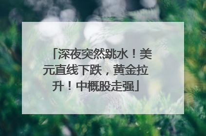 深夜突然跳水！美元直线下跌，黄金拉升！中概股走强