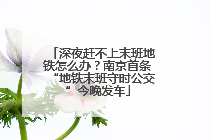 深夜赶不上末班地铁怎么办？南京首条“地铁末班守时公交”今晚发车