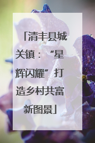 清丰县城关镇：“星辉闪耀”打造乡村共富新图景