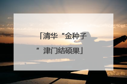 清华“金种子”津门结硕果