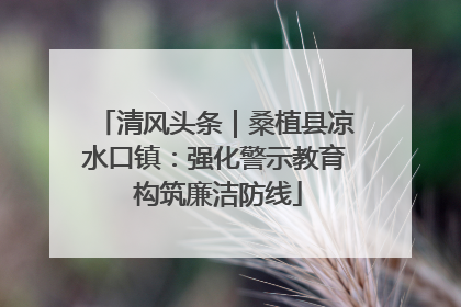 清风头条｜桑植县凉水口镇：强化警示教育 构筑廉洁防线