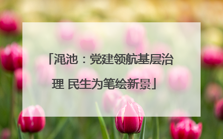 渑池：党建领航基层治理 民生为笔绘新景