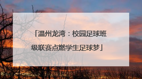温州龙湾：校园足球班级联赛点燃学生足球梦