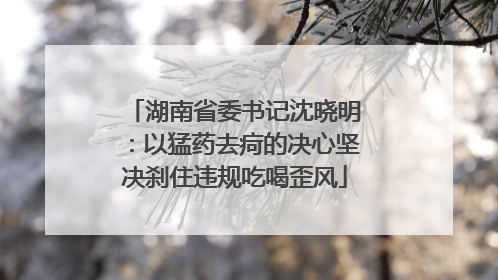 湖南省委书记沈晓明：以猛药去疴的决心坚决刹住违规吃喝歪风