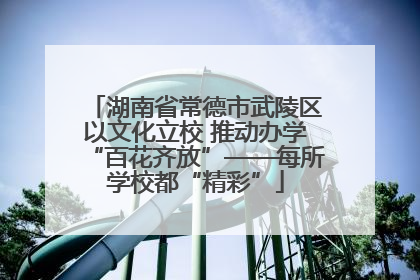 湖南省常德市武陵区以文化立校 推动办学“百花齐放”——每所学校都“精彩”