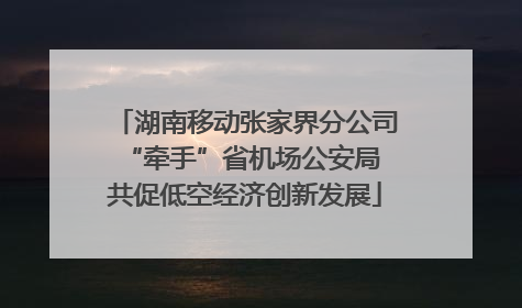湖南移动张家界分公司“牵手”省机场公安局 共促低空经济创新发展