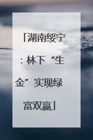 湖南绥宁：林下“生金”实现绿富双赢