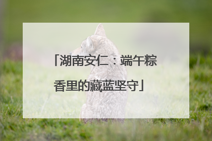 湖南安仁：端午粽香里的藏蓝坚守