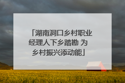 湖南洞口乡村职业经理人下乡踏勘 为乡村振兴添动能