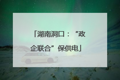 湖南洞口：“政企联合”保供电