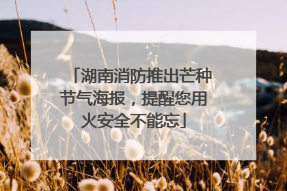 湖南消防推出芒种节气海报，提醒您用火安全不能忘