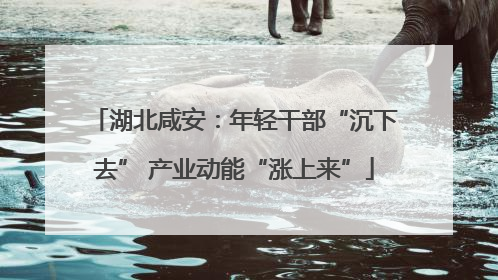 湖北咸安：年轻干部“沉下去” 产业动能“涨上来”