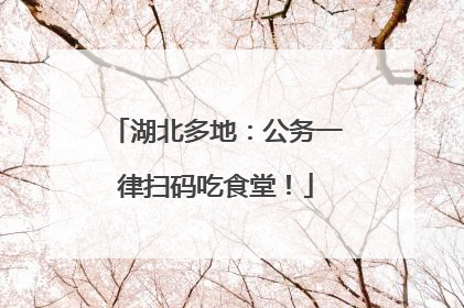 湖北多地：公务一律扫码吃食堂！