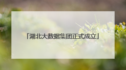 湖北大数据集团正式成立
