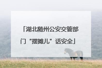 湖北随州公安交管部门“摆摊儿”话安全