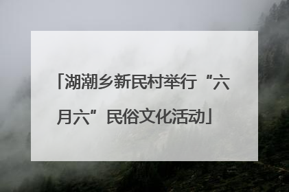湖潮乡新民村举行“六月六”民俗文化活动