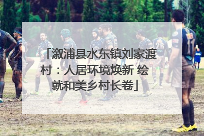 溆浦县水东镇刘家渡村：人居环境焕新 绘就和美乡村长卷